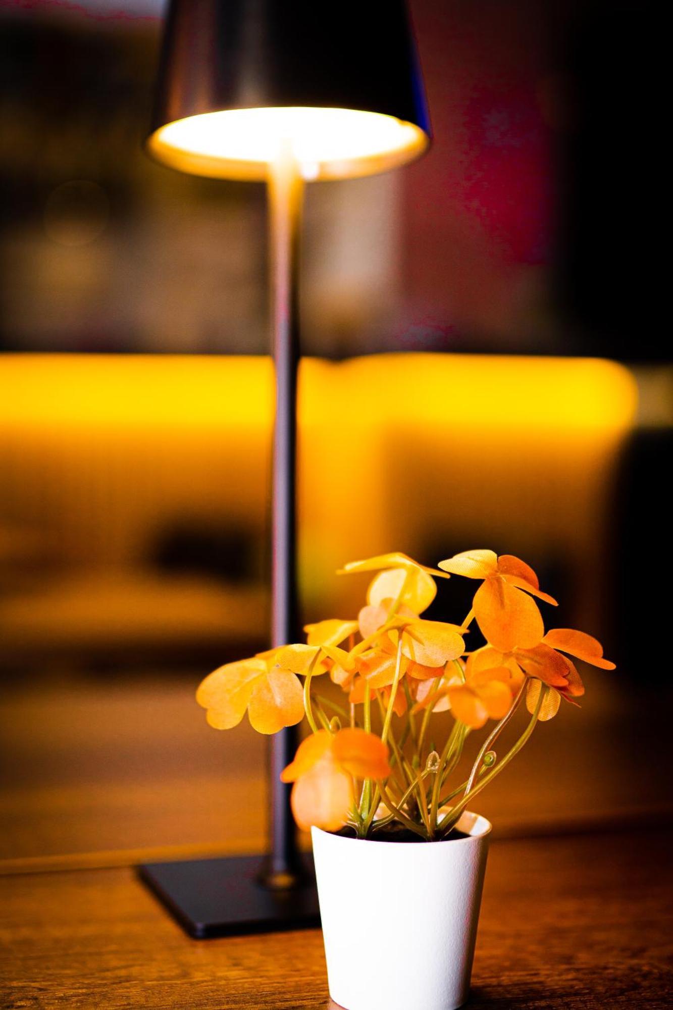 Hotel Professor Leuven Centrum Ngoại thất bức ảnh