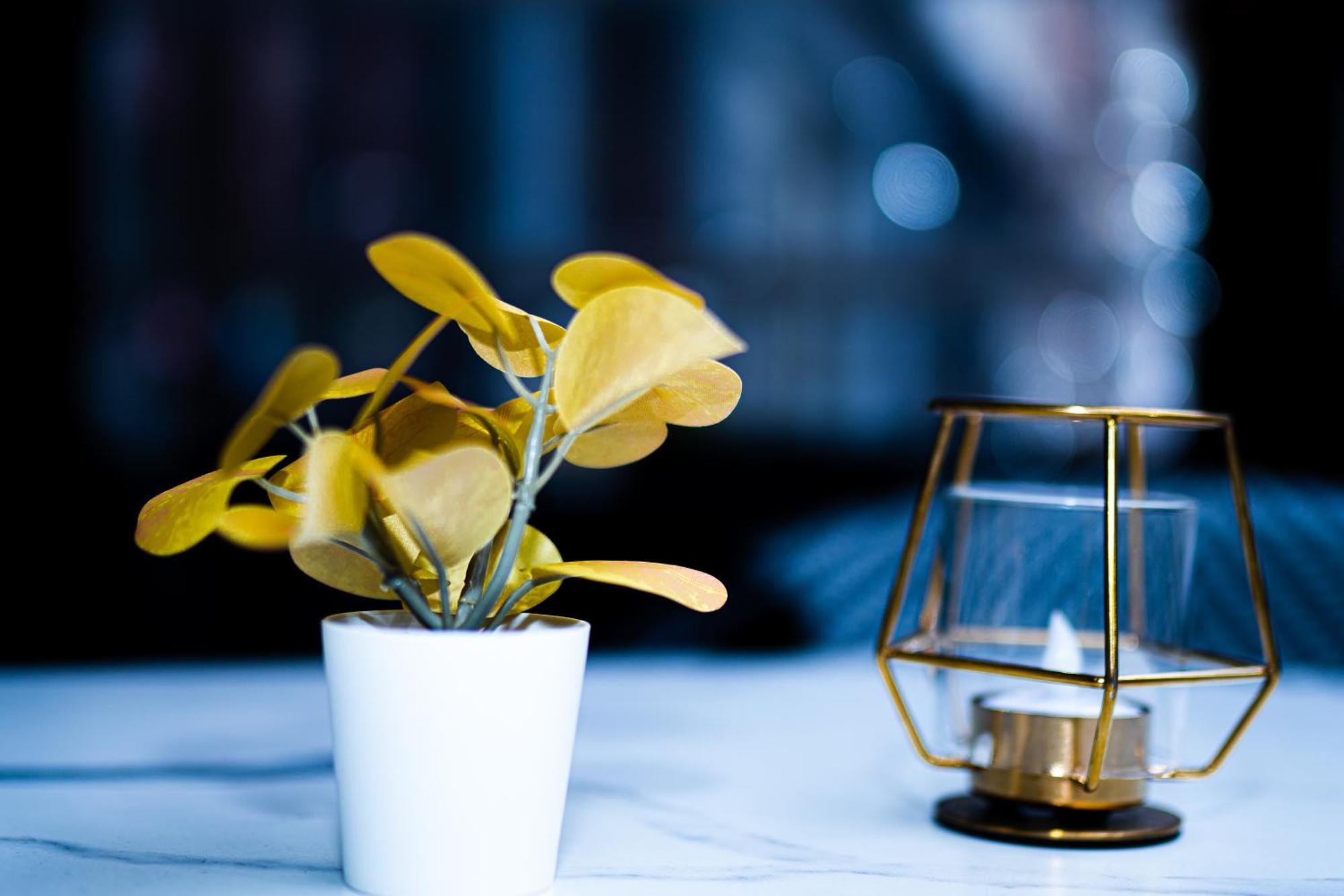Hotel Professor Leuven Centrum Ngoại thất bức ảnh
